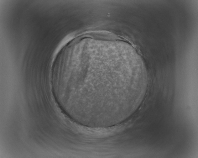 X0000080740006200701121949