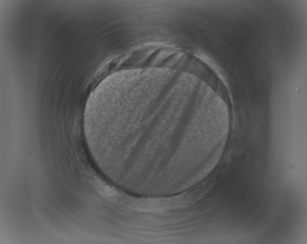 X0000080740009200701121949