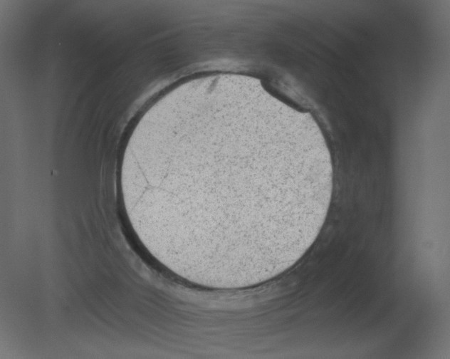 X0000080740011200701121949