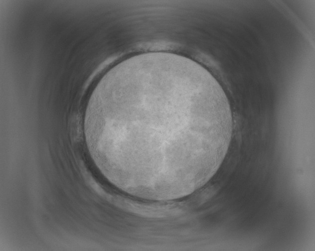 X0000080740012200701121949