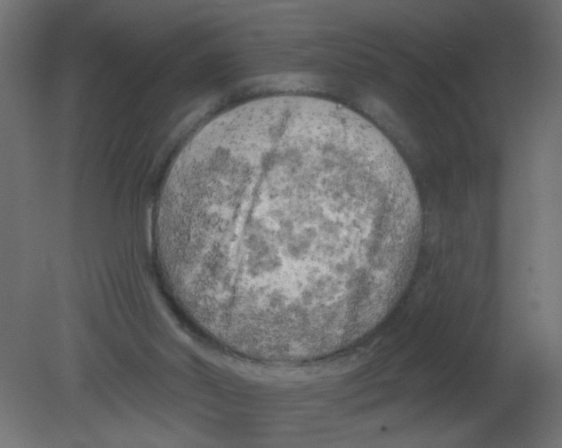 X0000080740014200701121949