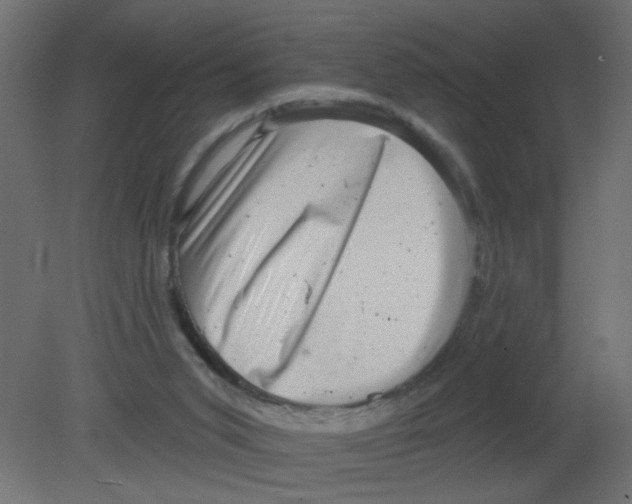 X0000080740015200701121949