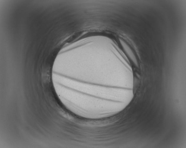 X0000080740017200701121949