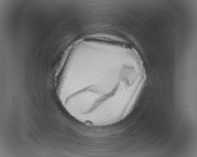 X0000080740018200701121949