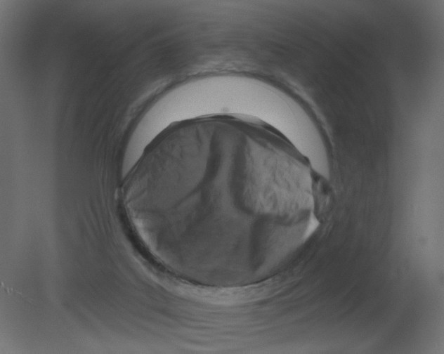 X0000080740019200701121949