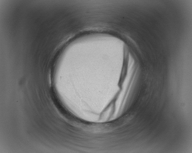 X0000080740020200701121949