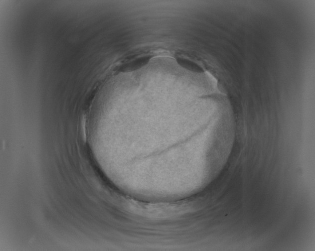 X0000080740022200701121949