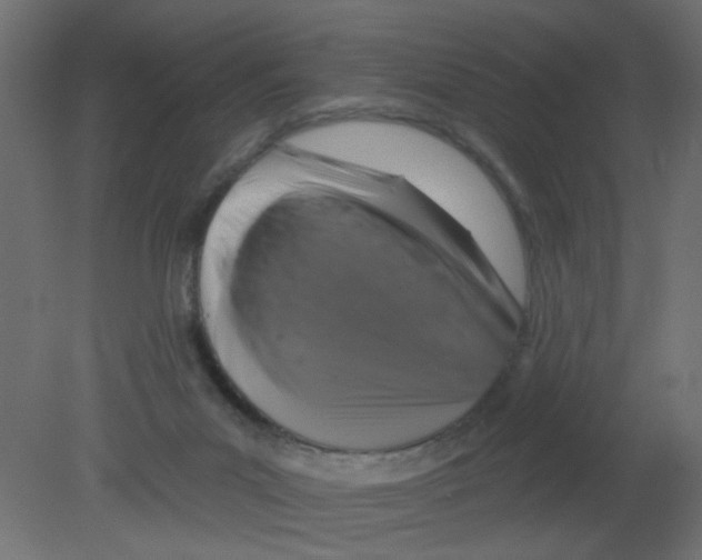 X0000080740023200701121949