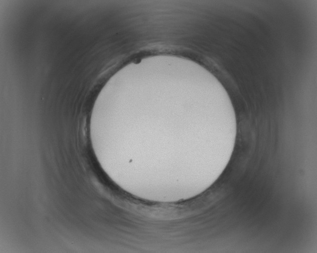 X0000080740024200701121949