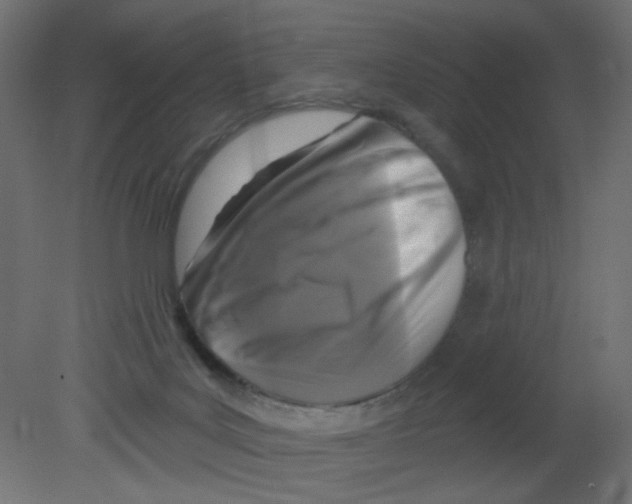 X0000080740027200701121949