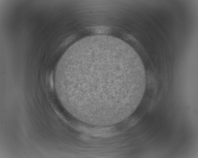 X0000080740028200701121948