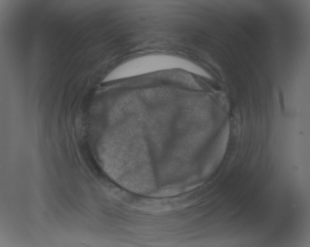 X0000080740029200701121948