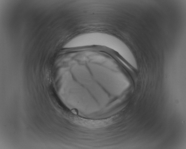 X0000080740031200701121948