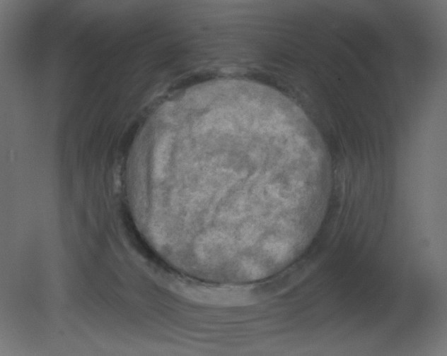 X0000080740032200701121948