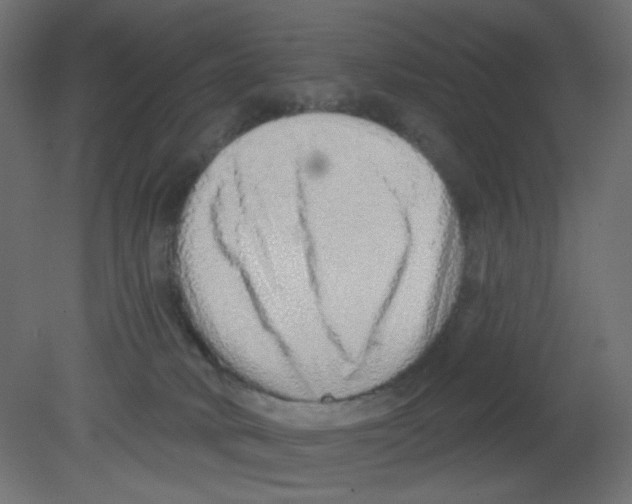 X0000080740034200701121948