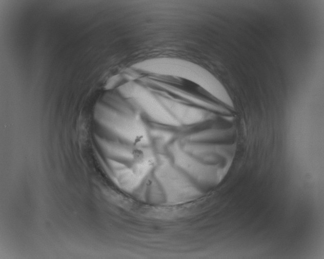 X0000080740037200701121948