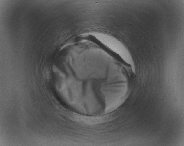 X0000080740039200701121948