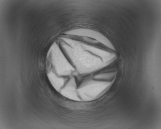 X0000080740040200701121948