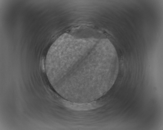 X0000080740042200701121948