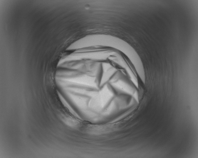 X0000080740045200701121948