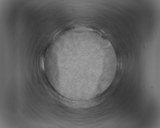 X0000080740046200701121948