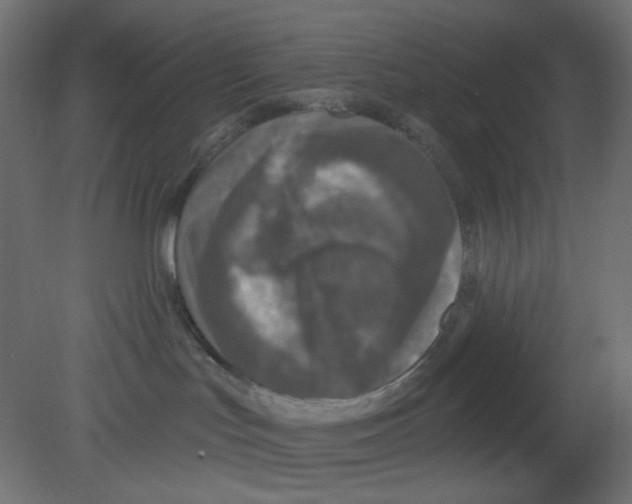 X0000080740047200701121948