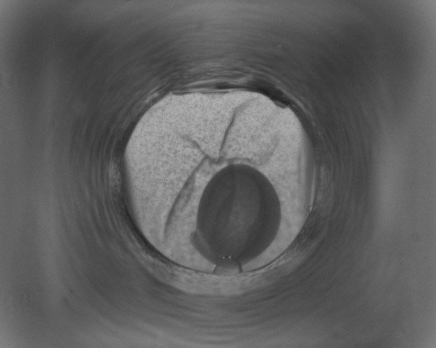 X0000080740048200701121948