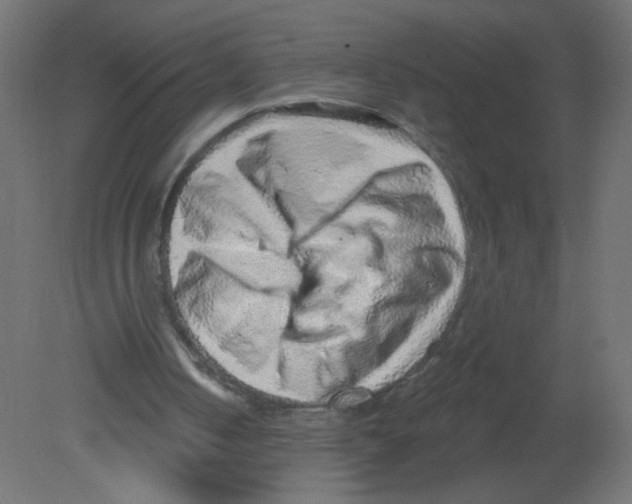 X0000080740050200701121947