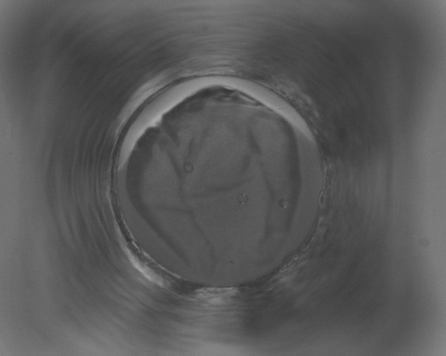 X0000080740051200701121947