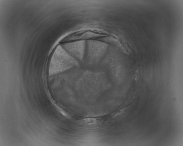 X0000080740052200701121947