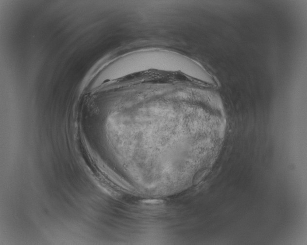 X0000080740053200701121947