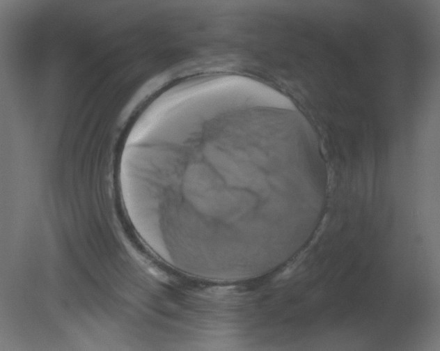 X0000080740054200701121947