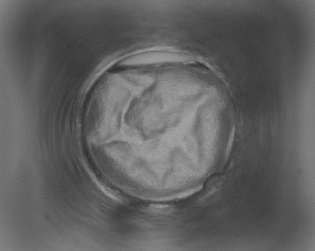 X0000080740055200701121947