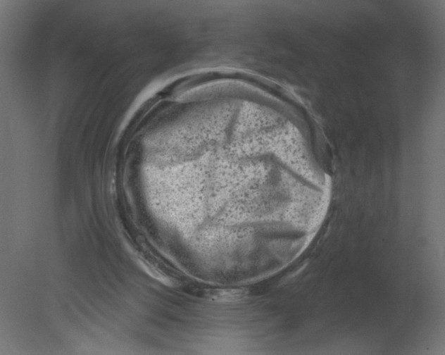 X0000080740056200701121947