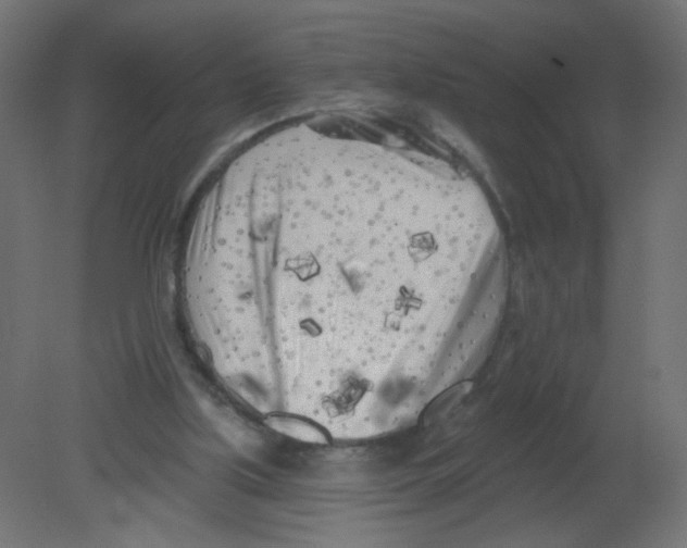 X0000080740059200701121947