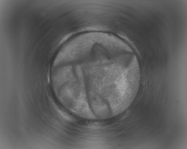 X0000080740062200701121948