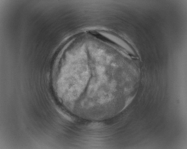 X0000080740063200701121948