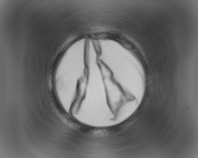 X0000080740067200701121948