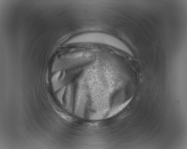 X0000080740068200701121948