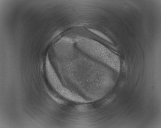 X0000080740072200701121948