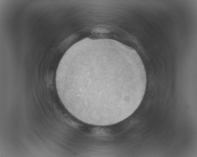 X0000080740073200701121948