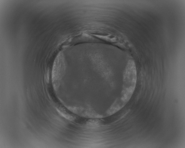 X0000080740076200701121948