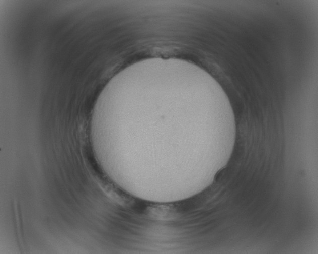 X0000080740079200701121948