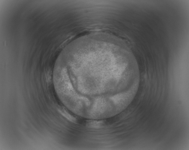 X0000080740081200701121948