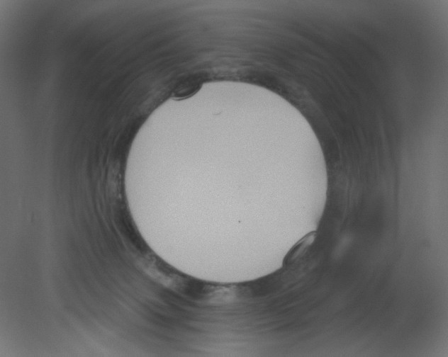 X0000080740083200701121948