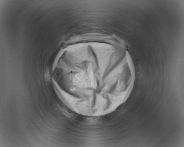 X0000080740089200701121948