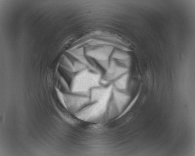 X0000080740092200701121948