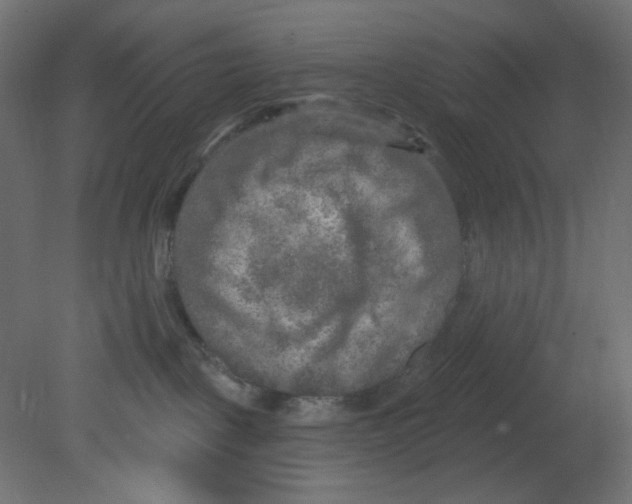 X0000080740093200701121948