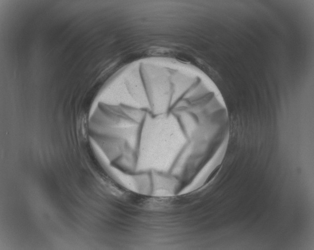 X0000080740094200701121948