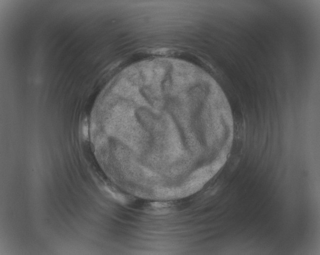 X0000080740095200701121948